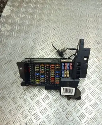 Mercedes-Benz B W245 Fuse module 1695451740