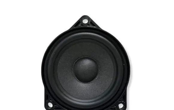 Tesla Model 3 Panel speaker 107974200B