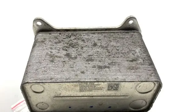Tesla Model Y Heater blower radiator 152300300B