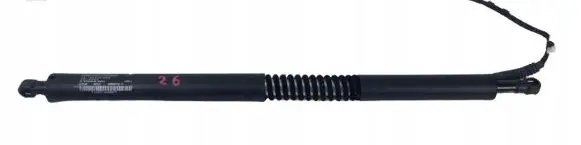BMW 3 GT F34 Tailgate strut 7298984