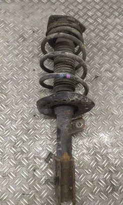 Nissan Qashqai Front shock absorber/damper 54303BR00B 824903007721