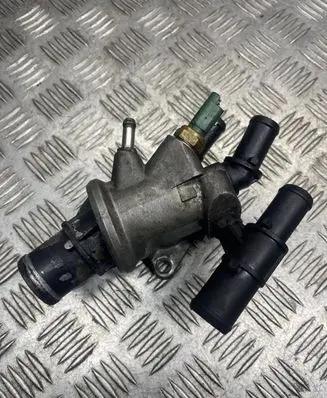 Thermostat/thermostat housing