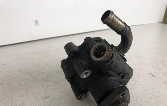 Volkswagen PASSAT B5.5 Power steering pump