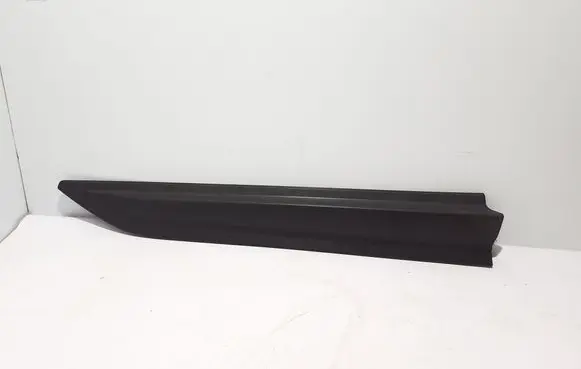 Renault Kangoo III Front door trim (molding) 808207076R