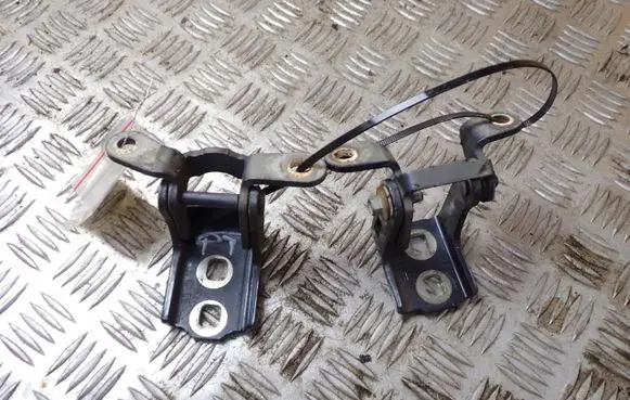Citroen C3 Rear door lower hinge