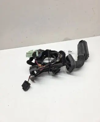 Front door wiring loom