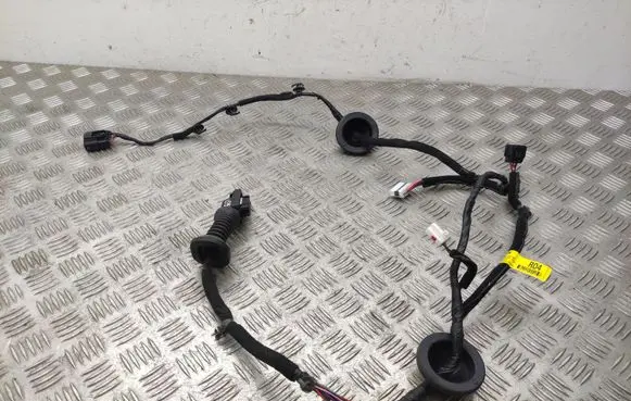 KIA Sorento Rear door wiring loom 91660C5040