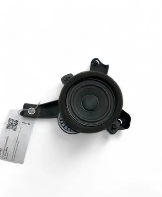 Front door speaker