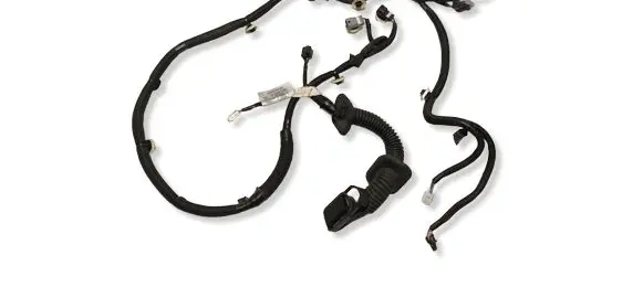 Renault Kangoo III Front door wiring loom 241255577R