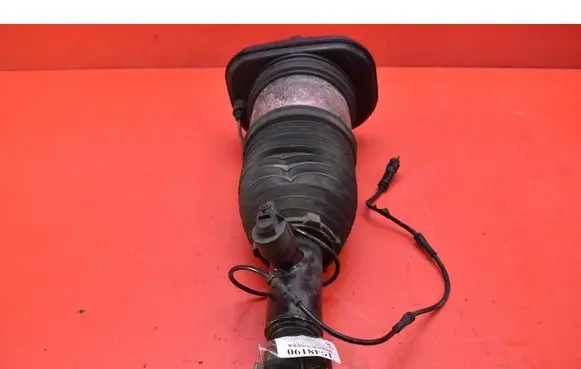 BMW iX3 G08 Rear shock absorber/damper 13981113