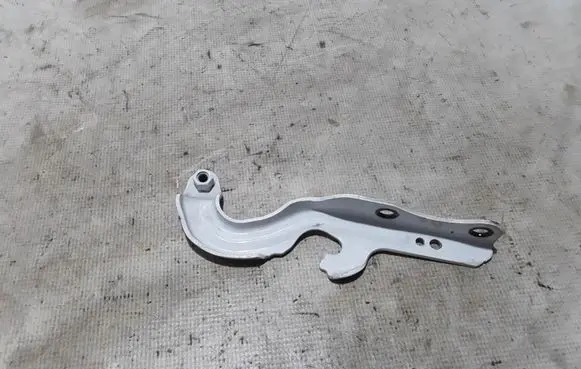 Dodge Durango Engine bonnet/hood hinges 55369563AE