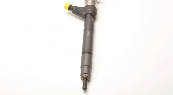 Opel Insignia A Fuel injector 55570012