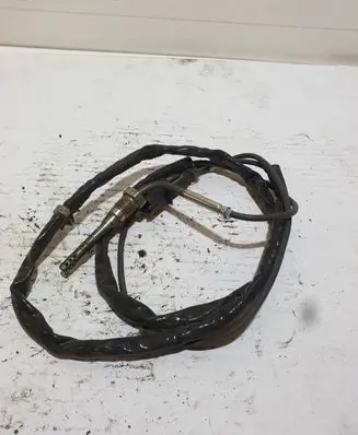 Fiat Ducato Exhaust gas temperature sensor ESNBTS200 1248629901888 55557600