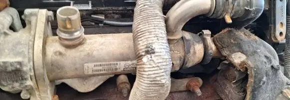 EGR valve cooler