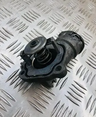 Thermostat/thermostat housing