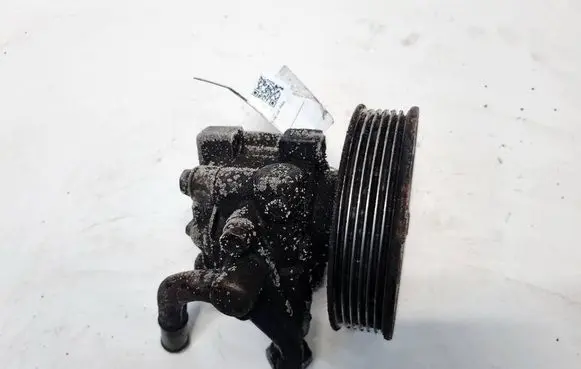Hyundai Santa Fe Power steering pump 