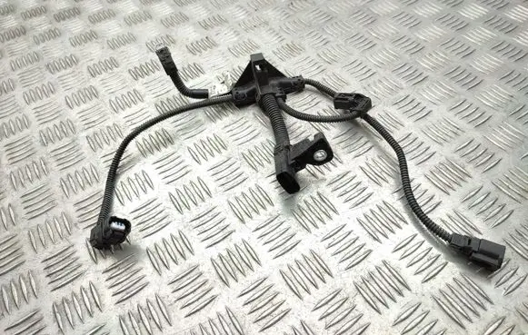 Toyota RAV 4 (XA50) Engine installation wiring loom 8221933140D