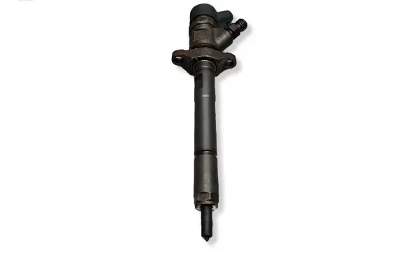 Citroen Berlingo Fuel injector S27649819 0445110259