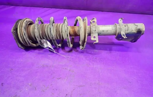 Renault Kangoo II Front shock absorber with coil spring 543020572R