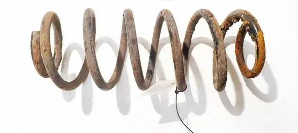 Rear coil spring
