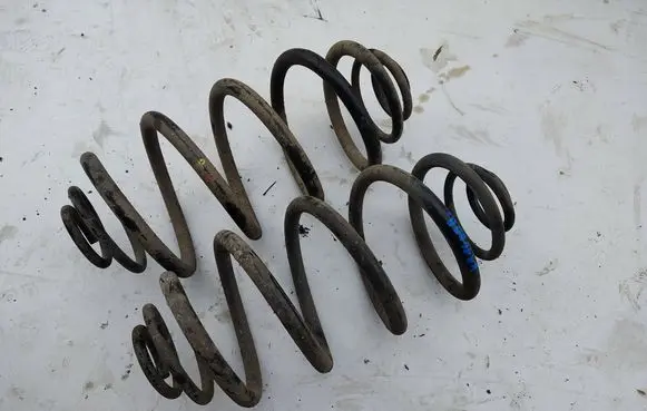Rear coil spring