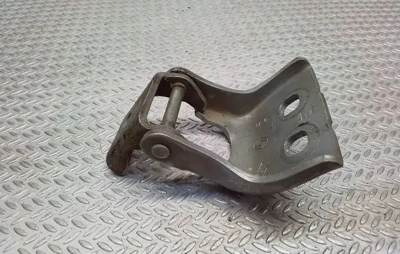 Renault Kangoo II Front door lower hinge 115113502