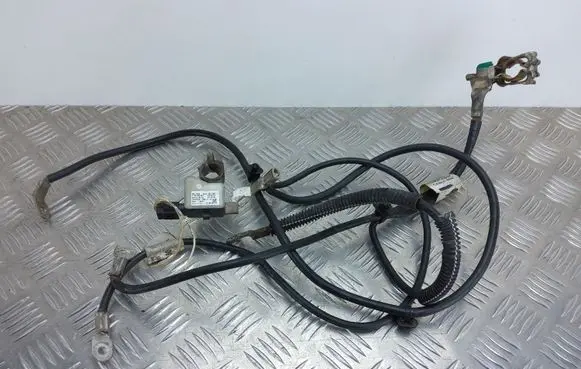Negative earth cable (battery)