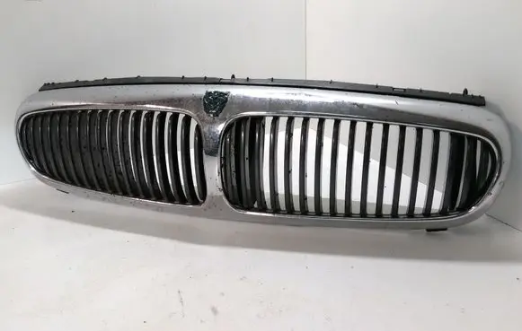 Jaguar X-Type Front bumper upper radiator grill 1X435510AH