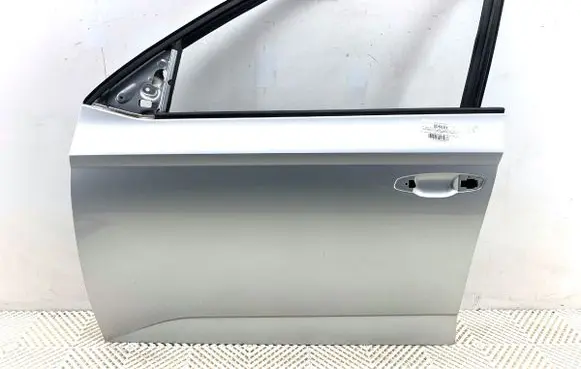 Skoda Fabia Mk3 (NJ) Front door LA7W