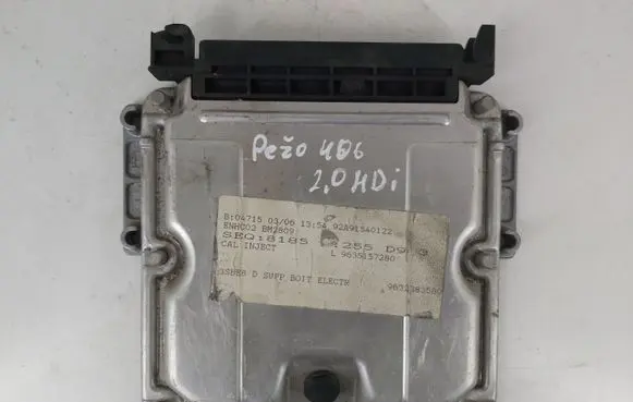 Engine control unit/module ECU