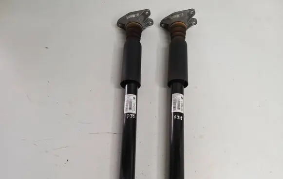 Rear shock absorber/damper