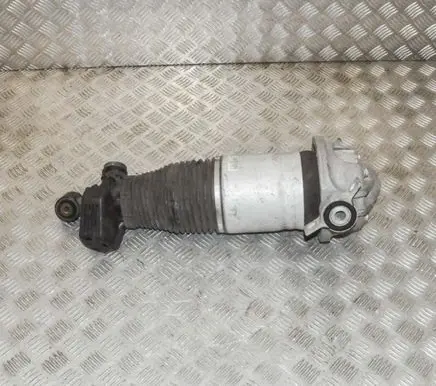 Porsche Cayenne (9PA) Rear shock absorber/damper 7L5616020F