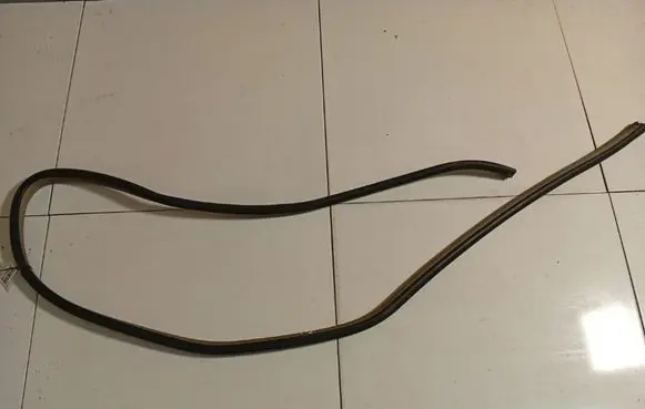 Toyota Yaris Rubber seal rear door