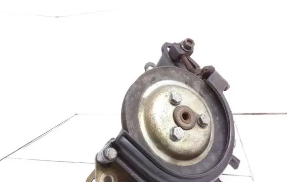 Fiat Punto (176) Power steering pump 7691955102