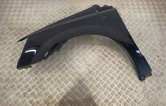 Dodge Grand Caravan Fender 