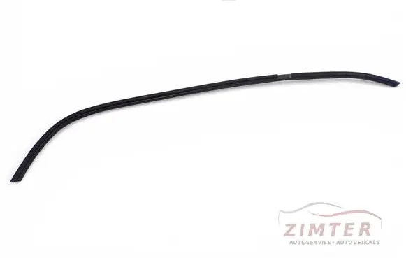 Renault Trafic II (X83) Rubber seal front coupe door window 