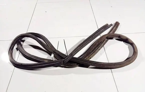 Renault Scenic I Rubber seal front coupe door 