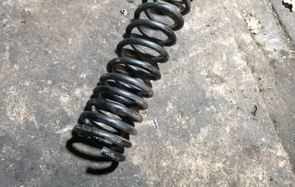 Ford Focus Rear coil spring