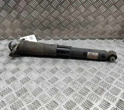 Volkswagen ID.4 Rear shock absorber/damper 1EA512013AL
