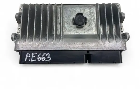 Engine control unit/module ECU