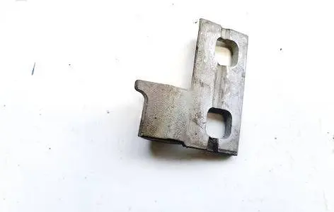 Rear door lower hinge