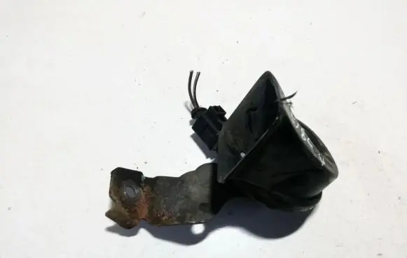 Volkswagen Golf V Horn signal