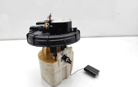 Citroen C4 II Picasso In-tank fuel pump 9800236180 28292841 28500632