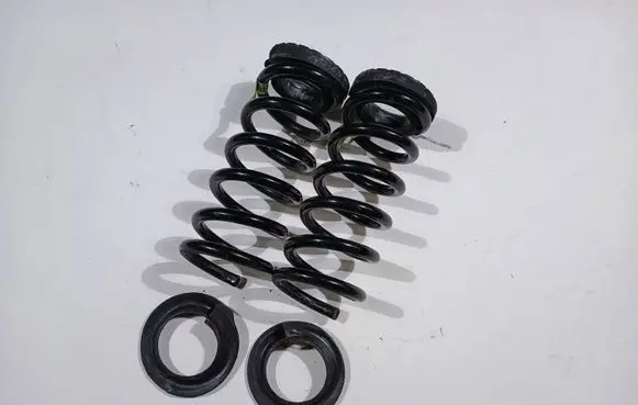 Ford Mustang VI Rear coil spring FR3C-5560-KA