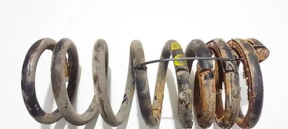 KIA Carnival Rear coil spring