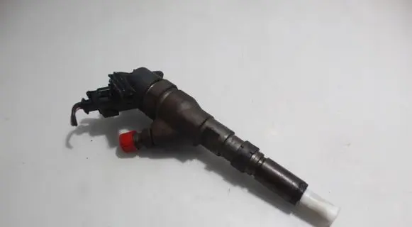 Peugeot Partner Fuel injector 0445110062