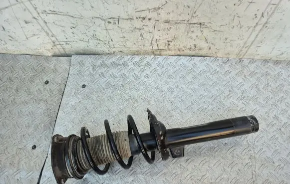 Front shock absorber with coil spring
