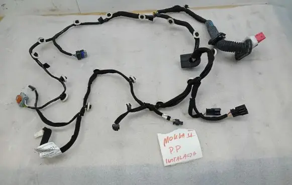 Front door wiring loom