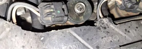 Citroen C3 Fuel injector 0445110252