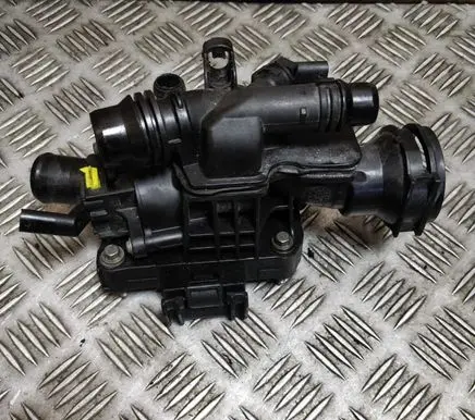 Thermostat/thermostat housing